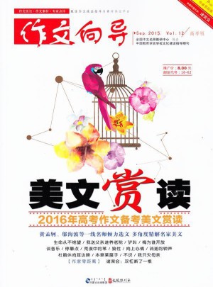 作文向导杂志订阅